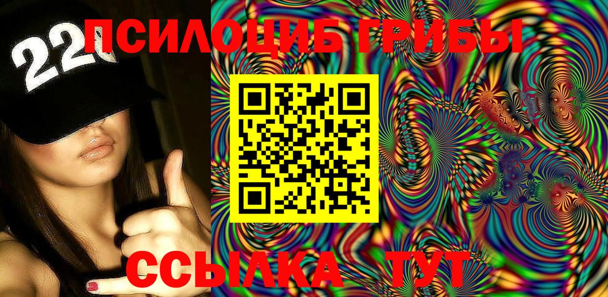Галлюциногенные грибы Psilocybe Димитровград