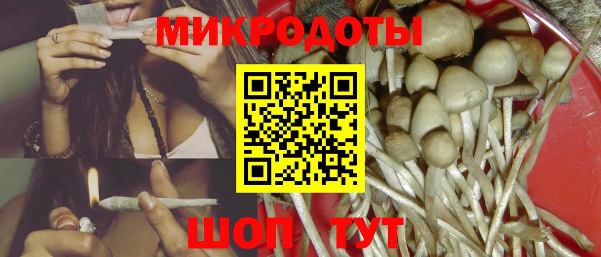 Димитровград  Галлюциногенные грибы Cubensis  Вход с VPN 